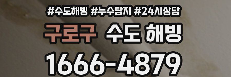 구로구 수도 해빙