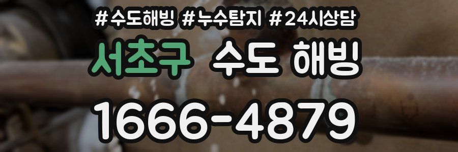 서초구 수도 해빙