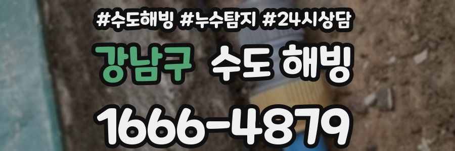 강남구 수도 해빙