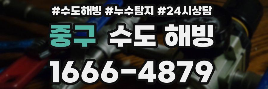 중구 수도 해빙