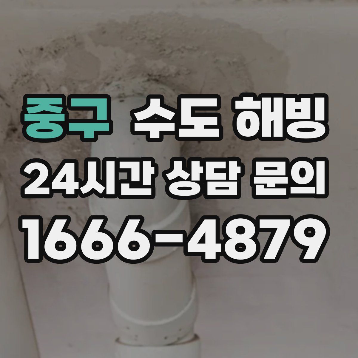 중구 수도 해빙