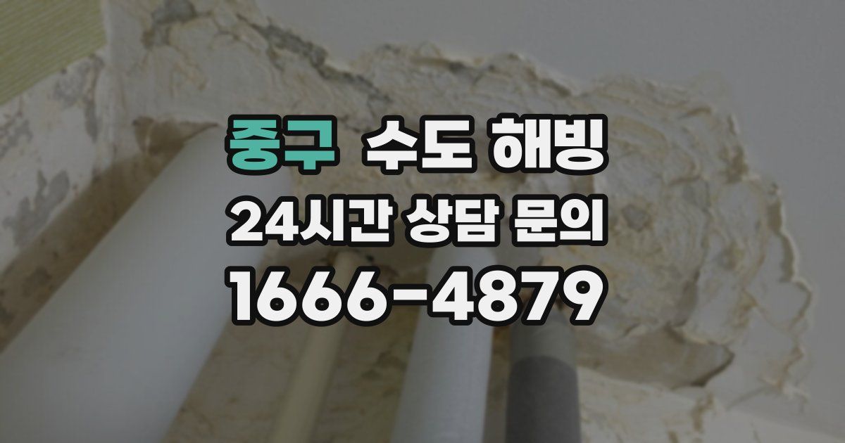 중구 수도 해빙