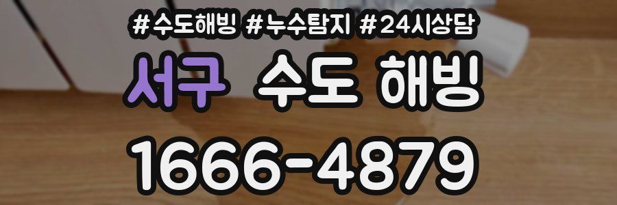 서구 수도 해빙