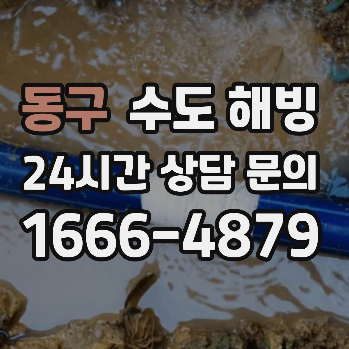 동구 수도 해빙