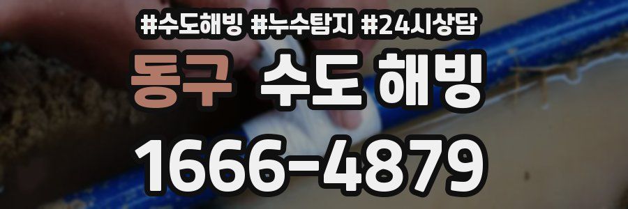 동구 수도 해빙