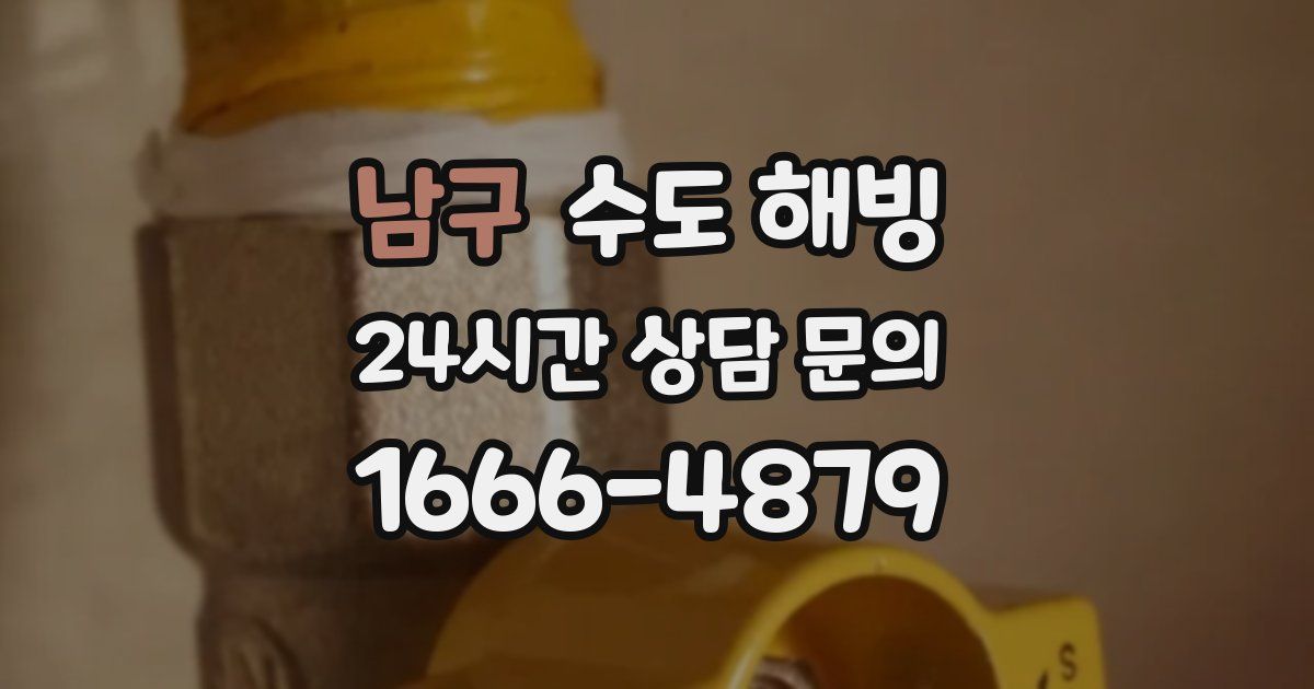 남구 수도 해빙