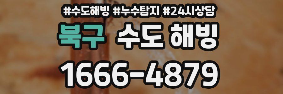 북구 수도 해빙