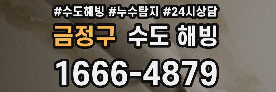 금정구 수도 해빙