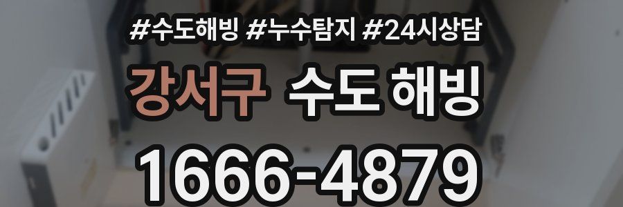 강서구 수도 해빙