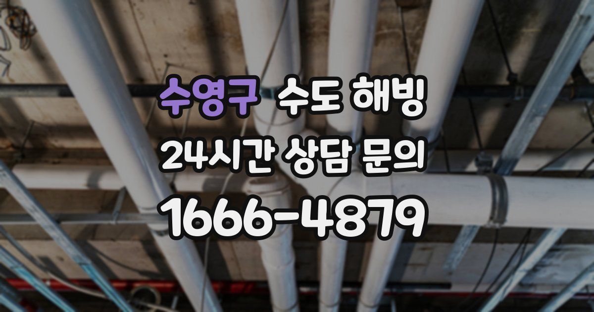 수영구 수도 해빙