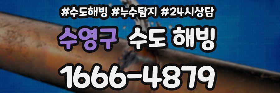 수영구 수도 해빙