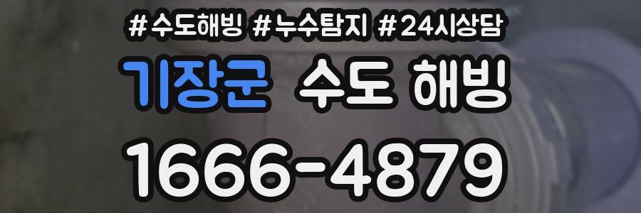 기장군 수도 해빙