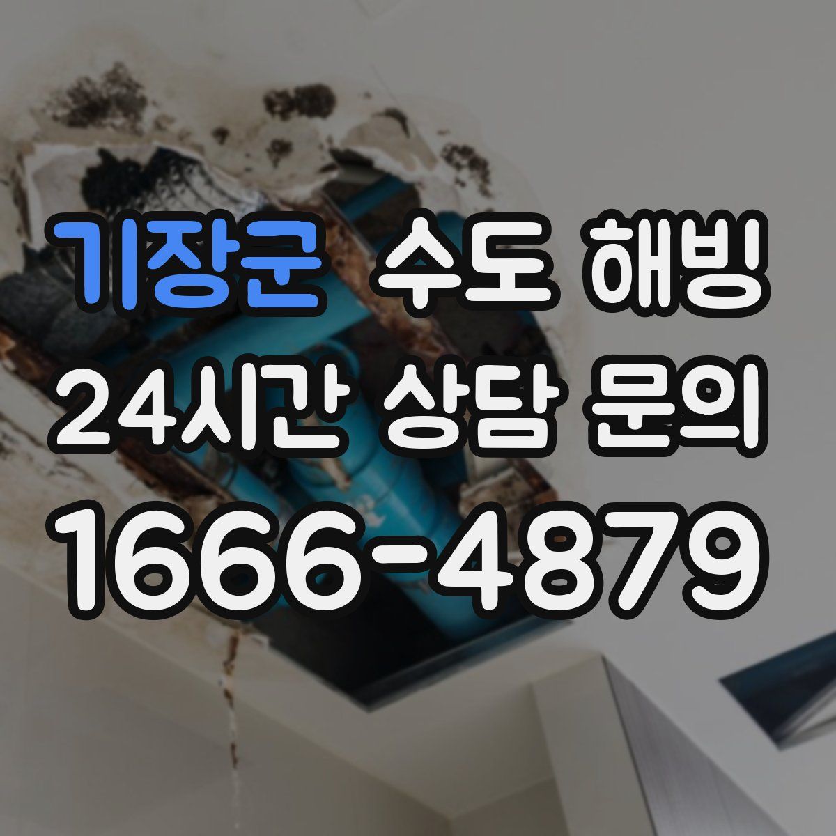 기장군 수도 해빙