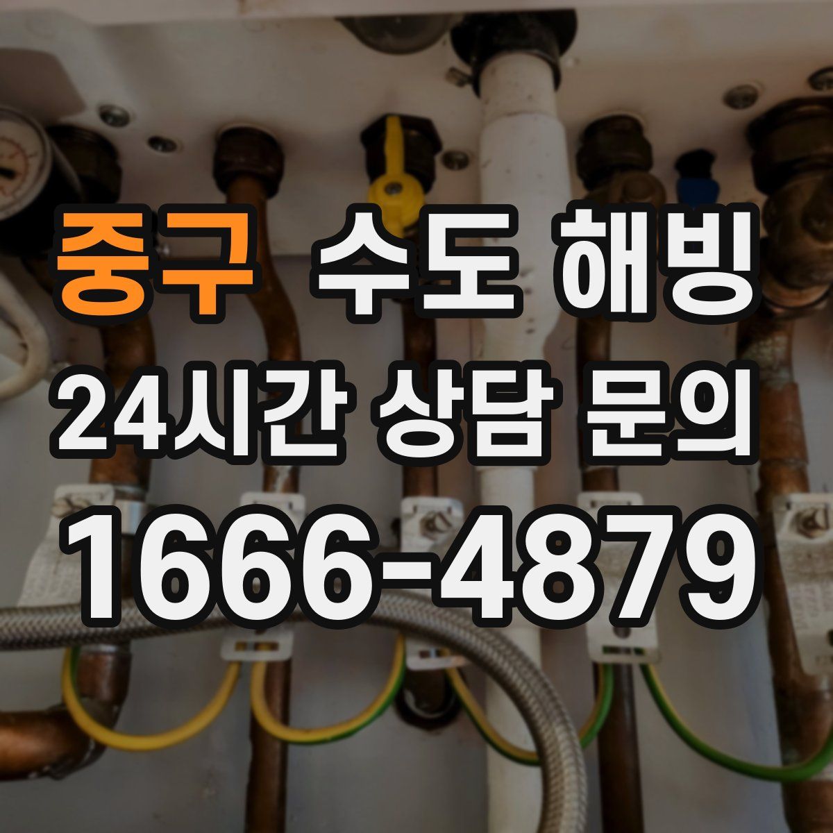 중구 수도 해빙