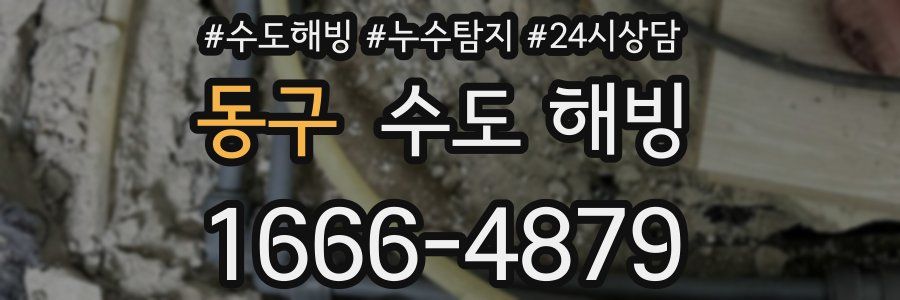 동구 수도 해빙