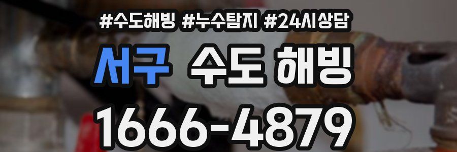 서구 수도 해빙