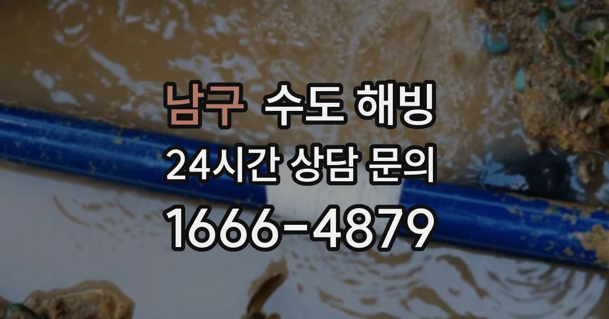 남구 수도 해빙