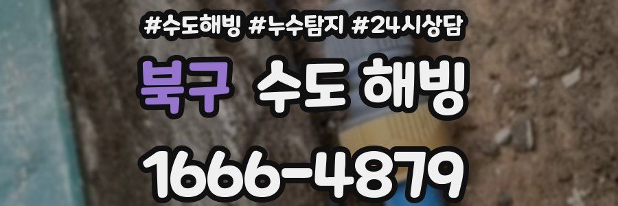 북구 수도 해빙