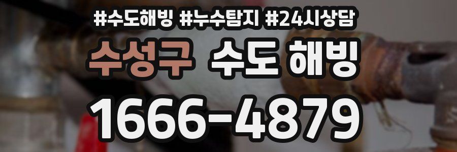 수성구 수도 해빙