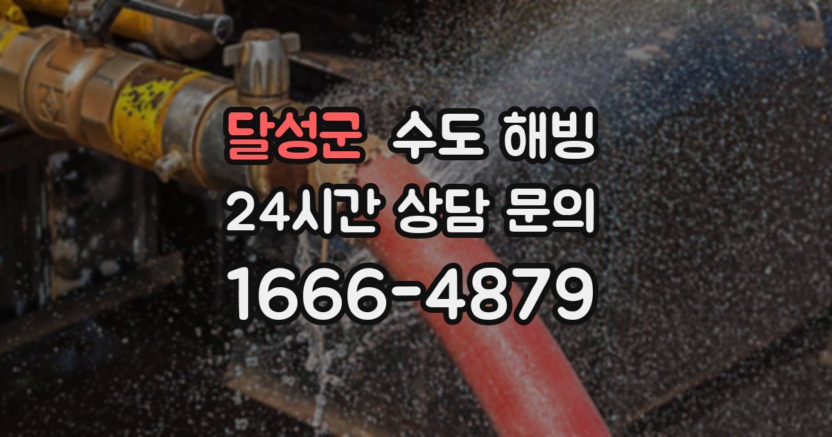 달성군 수도 해빙