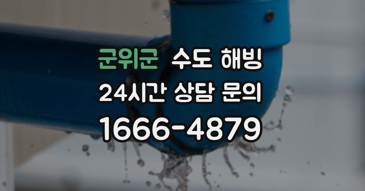 군위군 수도 해빙