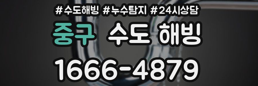 중구 수도 해빙