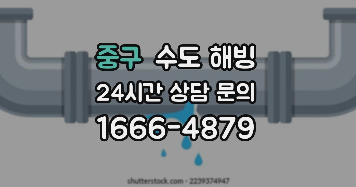 중구 수도 해빙