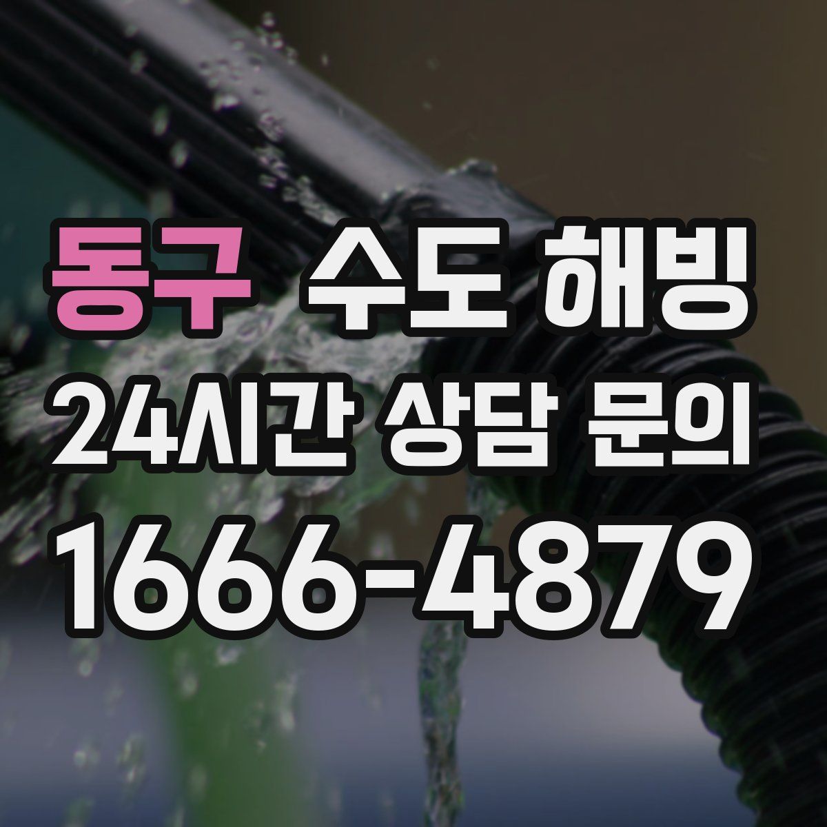 동구 수도 해빙