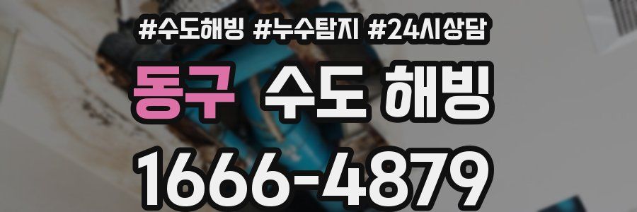 동구 수도 해빙