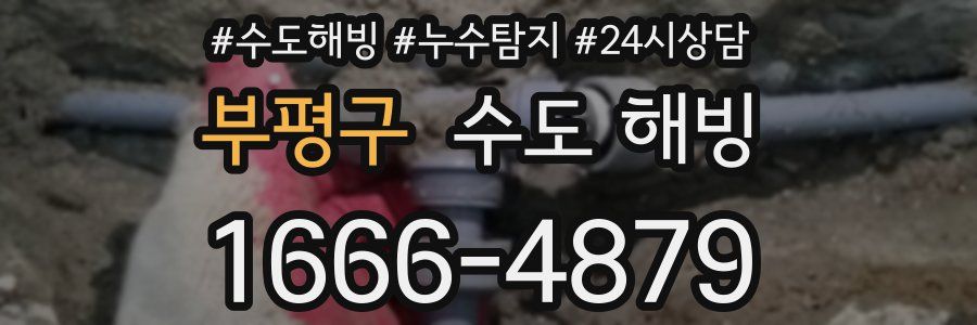 부평구 수도 해빙