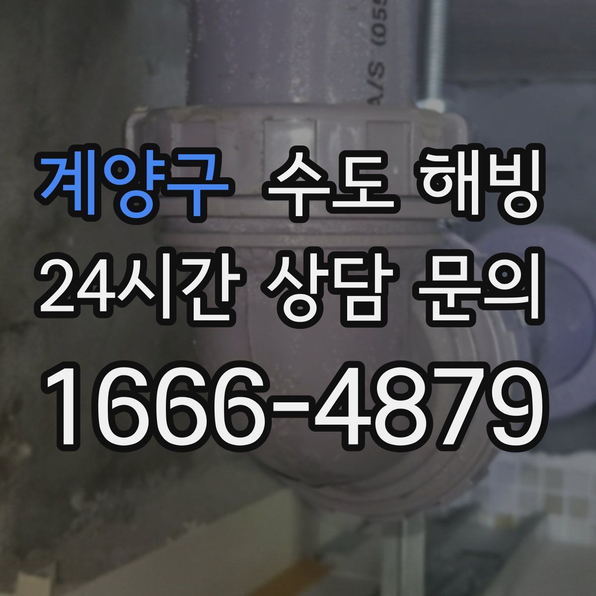 계양구 수도 해빙