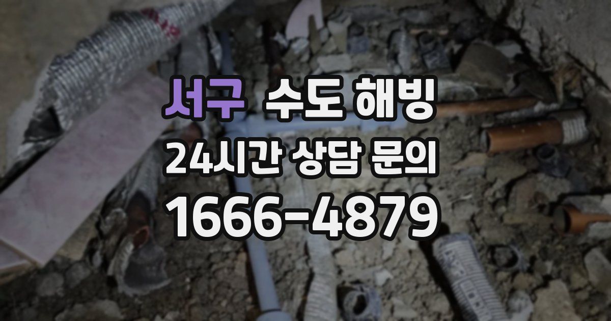 서구 수도 해빙