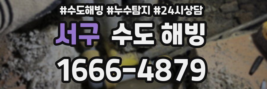 서구 수도 해빙