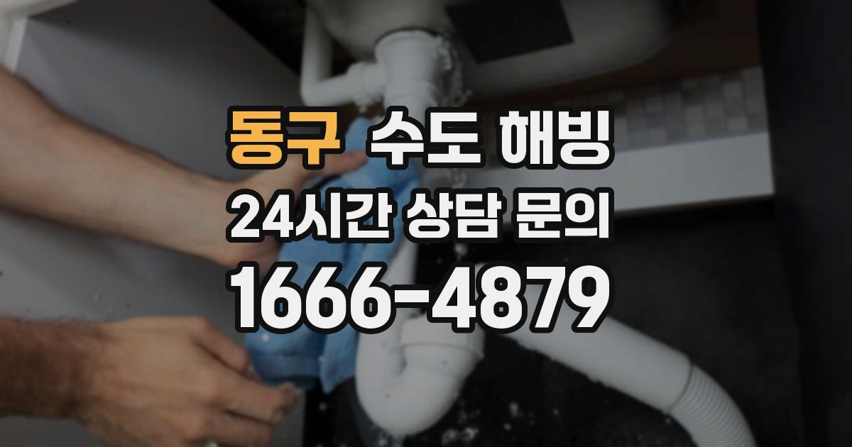 동구 수도 해빙