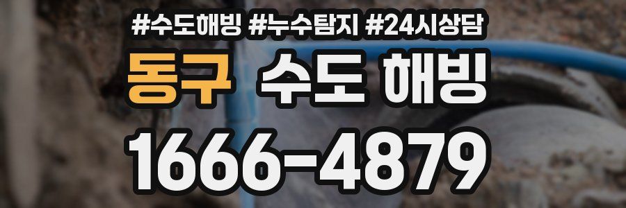 동구 수도 해빙