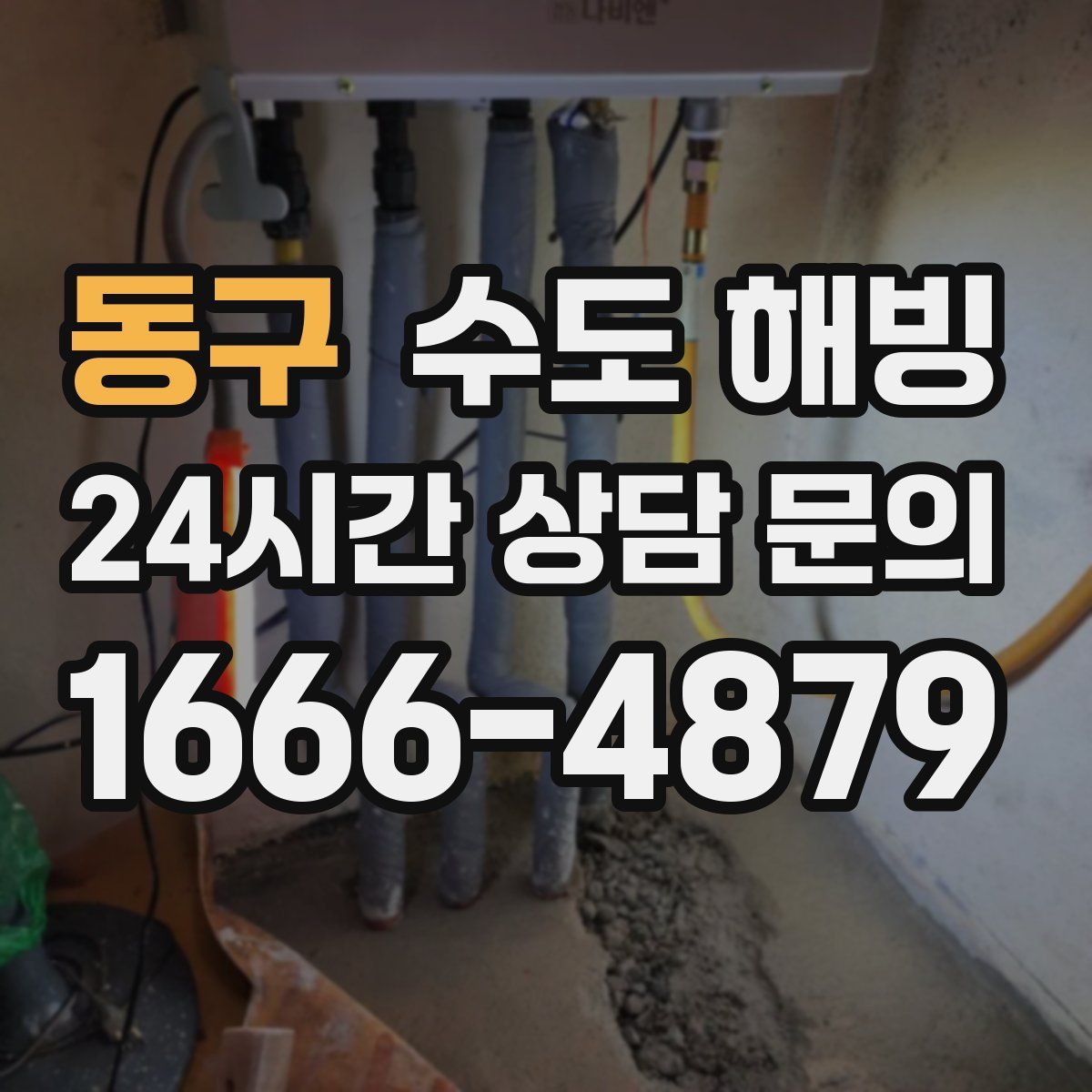 동구 수도 해빙