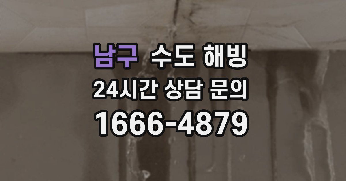 남구 수도 해빙