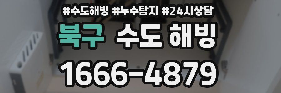 북구 수도 해빙