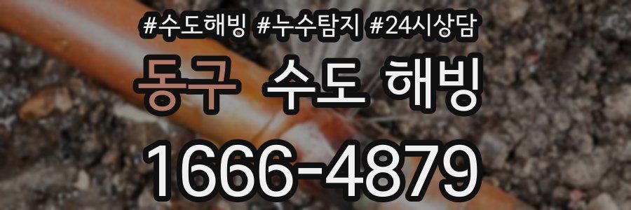 동구 수도 해빙