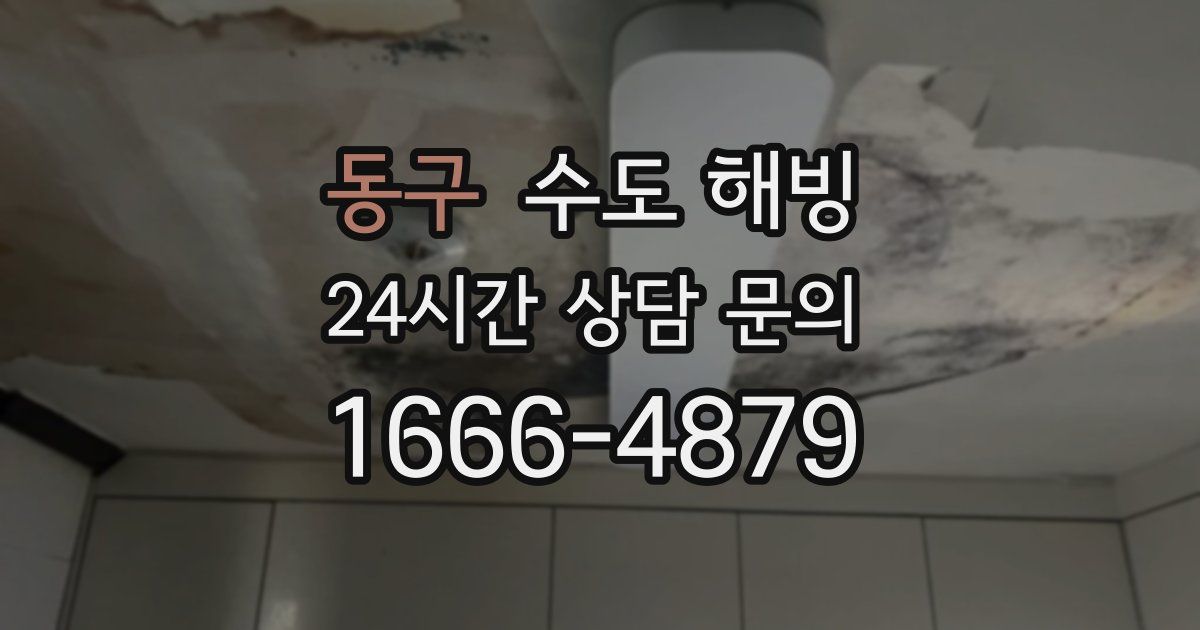 동구 수도 해빙