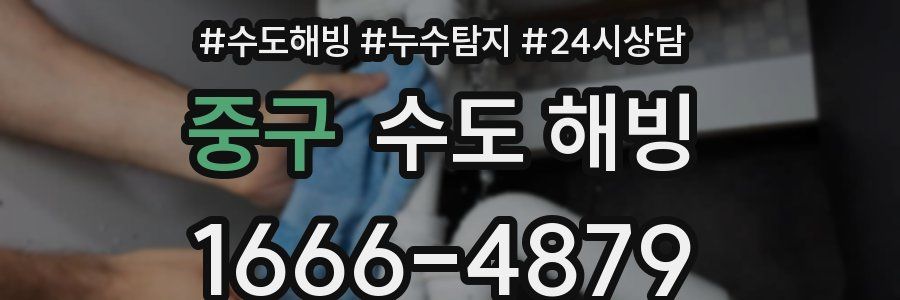 중구 수도 해빙