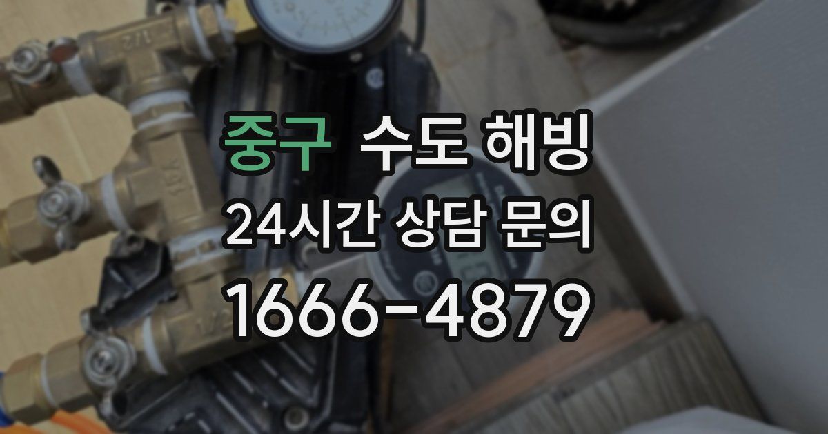 중구 수도 해빙