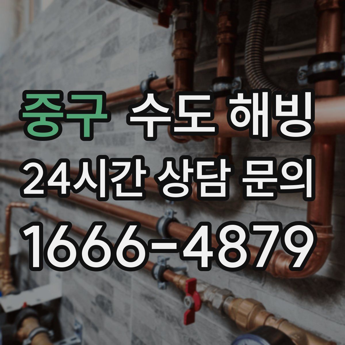 중구 수도 해빙