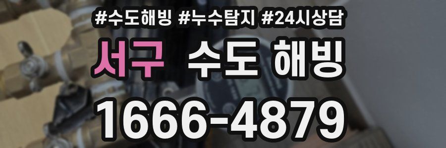 서구 수도 해빙