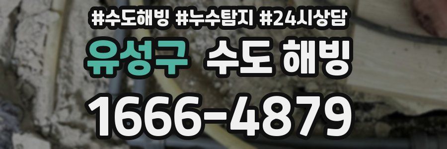 유성구 수도 해빙