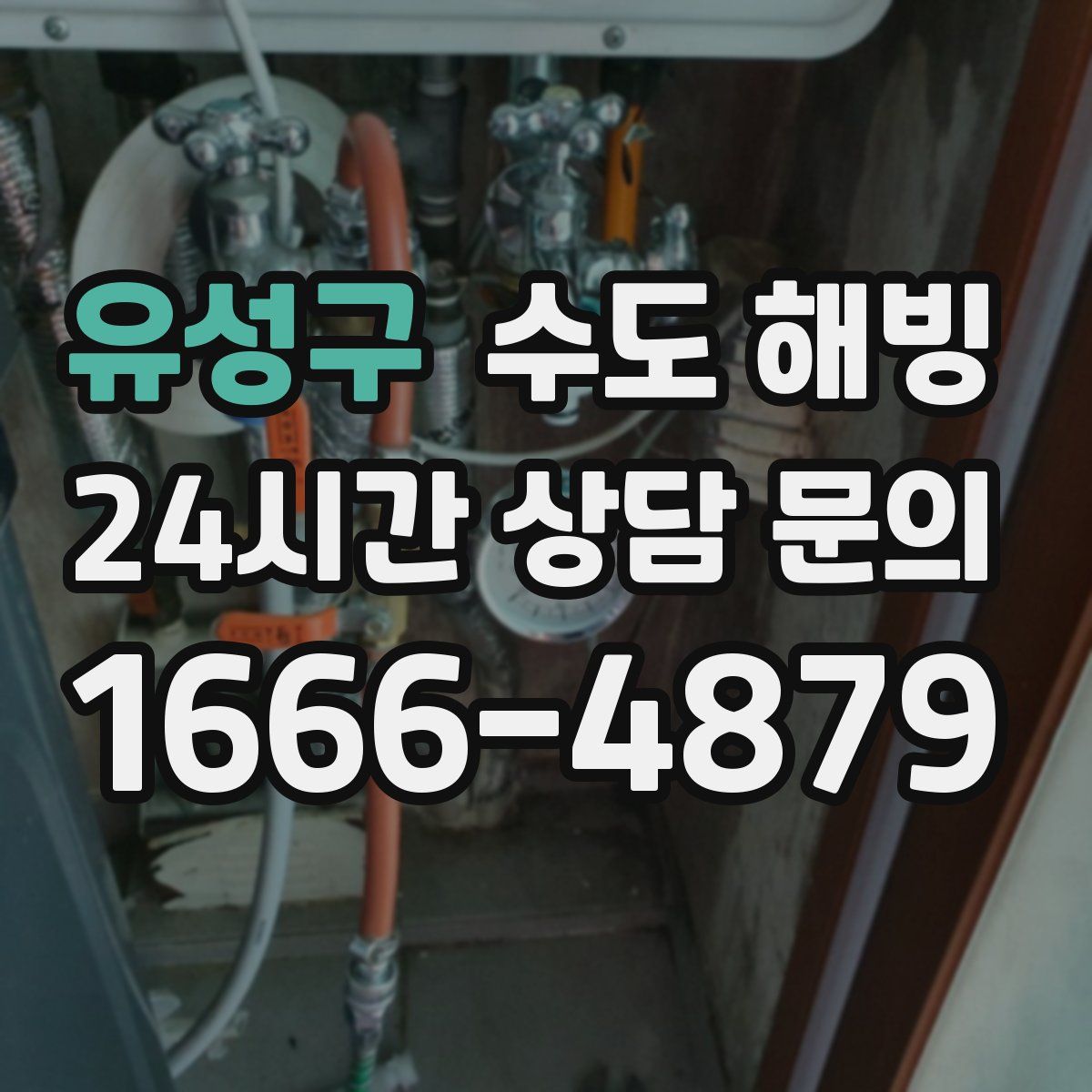 유성구 수도 해빙