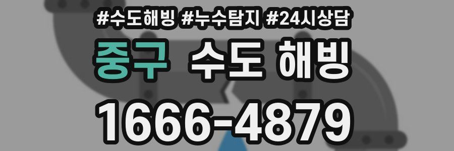 중구 수도 해빙