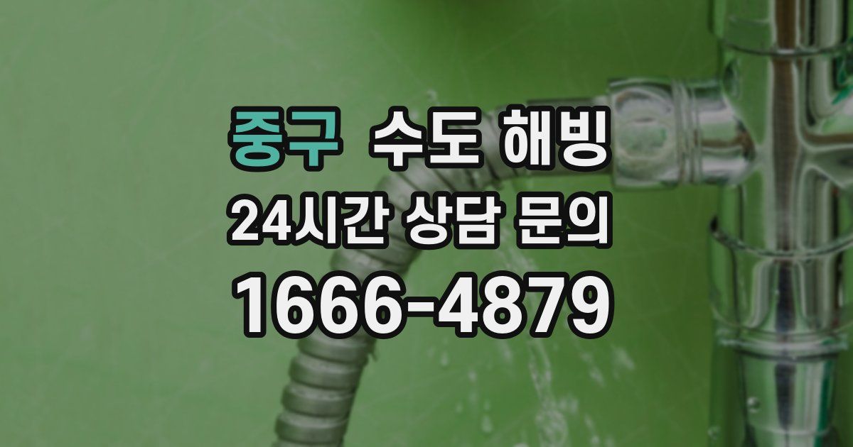 중구 수도 해빙