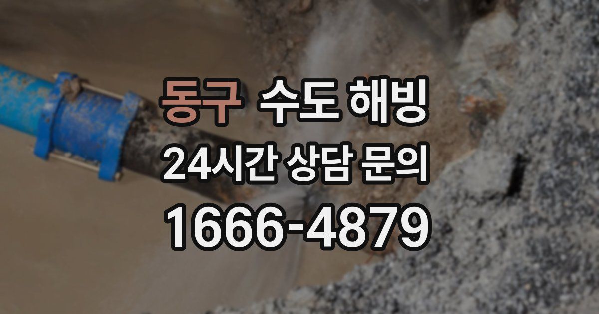 동구 수도 해빙