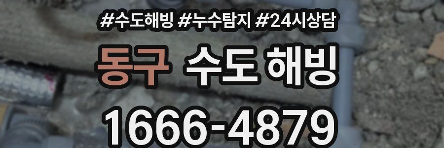 동구 수도 해빙